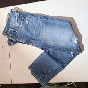 American Eagle Outfitters Women's Blue Distressed Skinny Jeans
